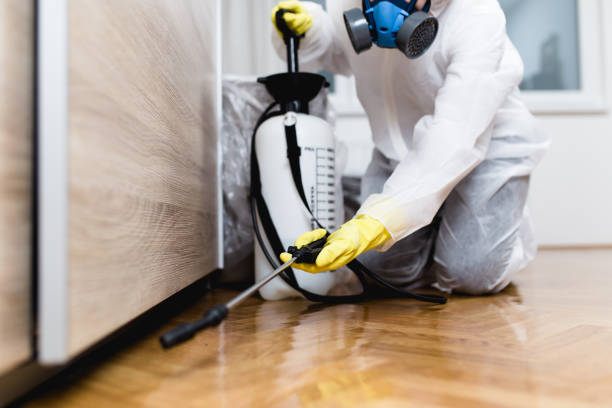 Best Local Pest Control Services  in Griffin, GA