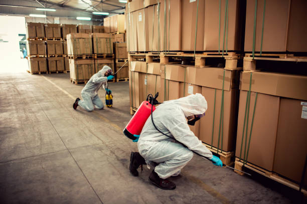 Best Bed Bug Extermination  in Griffin, GA
