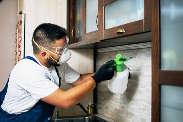 Best Mosquito Control Services  in Griffin, GA