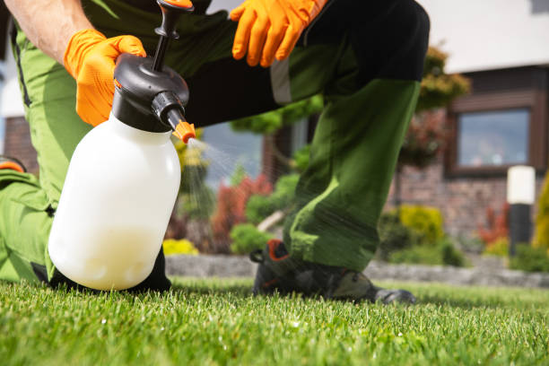 Best Residential Pest Control  in Griffin, GA