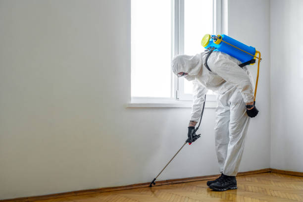 Best Termite Control Services  in Griffin, GA
