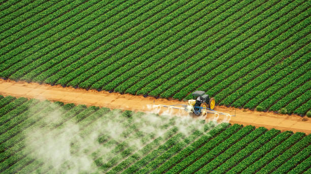 Pest Prevention Services in Griffin, GA