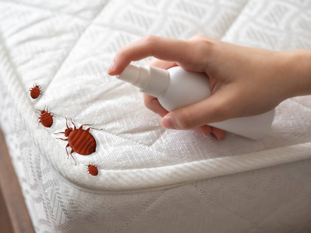 Wasp Removal Services in Griffin, GA