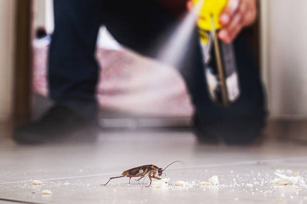 Best Commercial Pest Control Services  in Griffin, GA