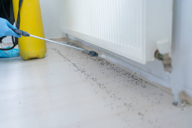 Best Pest Prevention Services  in Griffin, GA