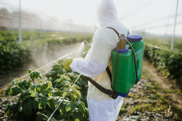 Best Cockroach Control Services  in Griffin, GA
